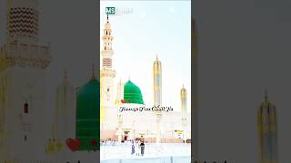 Meri Bigdi Banane Ko Nabi Ka Naam Kafi Hai💚 | WhatsApp status #mohmmadﷺ #naat #shorts