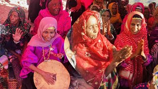 😱Harari Argobba culture best wedding 2023 #ethiopia