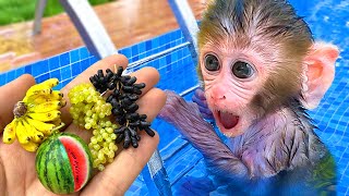 Baby Monkey BonBon Eat a Giant Fruit Cart and Swim with a Cute Puppy - BonBon Farm