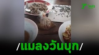 ชาวบ้านร้องกองทัพแมลงวันบุกบ้าน | 09-10-62 | ข่าวเย็นไทยรัฐ