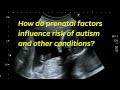 How do prenatal factors affect autism and other conditions?