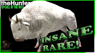 ALBINO PLAINS BISON USING A VIEWER LOADOUT! The Best loadout? theHunter Call Of The Wild