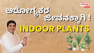 ಆರೋಗ್ಯಕರ ಜೀವನಕ್ಕಾಗಿ Indoor Plants 🌿 | Dr Deepak Guruji BH