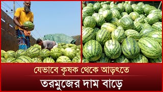 যেভাবে কৃষক থেকে আড়ৎতে তরমুজের দাম বাড়ে | Price Hike | watermelon price | News