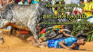 மதுரை மாவட்டம் ஊமச்சிகுளம் 3 கிராம இளைஞர் சுரேஷ் சார்பாக மாபெரும் வடமாடு மஞ்சுவிரட்டு திருவிழா நேரலை