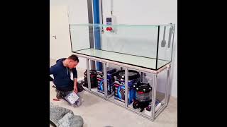 800 liter Malawi Scape - Part 1