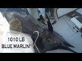 1000 LB bLUE MARLIN TOURNAMENT CATCH! | Billfish Movement TV 047