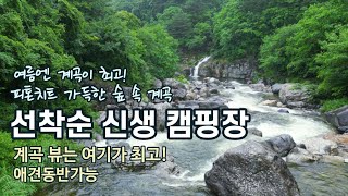 선착순 계곡캠핑장/계곡과 수영장이 있는 신생캠핑장/전체 파쇄석/카라반 캠핑카 차박 텐트 가능/애견동반캠핑/Camping