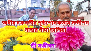 অধীর চক্রবর্তীর প্রেরণায় সন্দীপন নাহার তুলনাহীন গাঁদা ডালিয়া||Marigold \u0026 Dalhia Of Sandipan Naha||