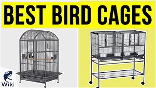 8 Best Bird Cages 2020