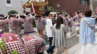 下谷神社大祭　東上野二丁目町会神輿渡御　2022/5/8 28