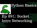 Python Basics Tutorial Socket Module Intro || Networking