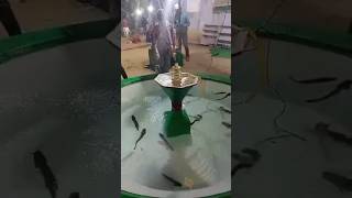 kareli Munna masjid 🕌#shortvideo