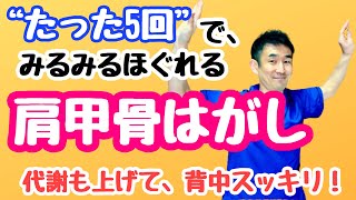 【代謝アップ\u0026肩こり解消】肩甲骨はがしエクササイズ；5回で効く！自分でできる｜宮崎｜腰痛ケア｜出張整体\u0026コンディショニング｜