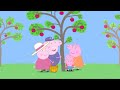 peppa wutz live 2024 🔴 ganze episoden cartoons für kinder peppa wutz neue folgen 24 7