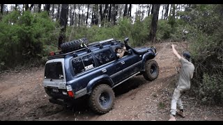 One of the Hardest Tracks in Victoria! (Robortson Fireline - Bunyip) in an N70 Hilux