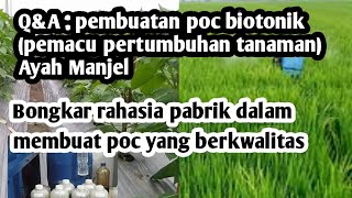 Cara buat Biotonik pemacu pertumbuhan tanaman (ayah KP2M)