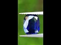 unheated royal blue sapphire weight 1.66 ct