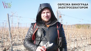 Обрезка винограда электросекатором / Cutting vines with electric pruning shears