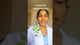 Mucho cuidado con esto !!  #fitoterapia #plantasmedicinales