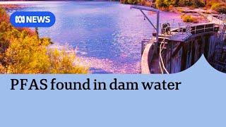 Water NSW disconnects Medlow Dam in the Blue Mountains due contamination concerns | ABC NEWS