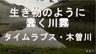 タイムラプス・木曽川河畔の、幻想的な川霧の動きが、まるで動き回る生き物のよう！ゴープロで1000枚の写真を撮影しタイムラプス加工