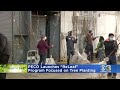 peco launches releaf program focused on tree planting