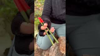 WOW!  USEFUL and SMART idea in forest #camping #survival #outdoor #bushcraft