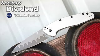 Kershaw Dividend Composite Blade Knife | 1 Minute Preview | Atlantic Knife