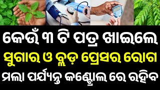 Gk Questions And Answers In Odia || 2025 Odia Gk Quiz || Odia Gk Questions