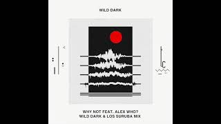 Wild Dark - Why Not (Los Suruba \u0026 Wild Dark 2023 Edition). TrueColors