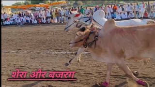 बैलगाड़ी दौड़ प्रतियोगिता नीमगांव । हेमंत पटेल मगरिया Bailgadi race neemgaon #bailgadapremi #bakasur