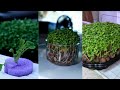 Cheap & Easy Hydroponic Gardening, Indoors and Outdoors