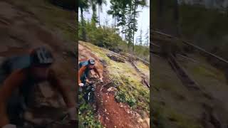 How Fast is This Trail?! YES #mtb #bike #forest #fullsend