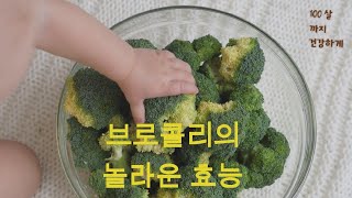 브로콜리 의 놀라운 효능