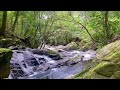 【自然の音】渓谷の水の流れ、70分間のリラックスタイム　水の音