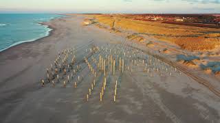 Palendorp Petten aan zee