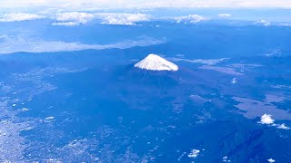 【4K Local short trip】羽田空港 から 龍馬高知空港 へ