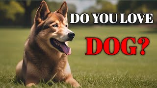 Do You Love Dog? #viralvideo #animals #doglover #youtube #dog #tranding