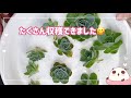 【多肉植物】今の時期に七福神をカット！七福神を増やそう【reoreooreo】