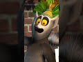 King Julien says B is for Booty! 😮 | DreamWorks Madagascar | #madagascar #kingjulien