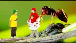 Green Balloon Club - Minibeast madness song - Cbeebies