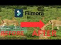 How To Remove Watermark In Filmora 12