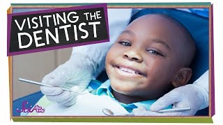 Visiting the Dentist! | Health for Kids | SciShow Kids