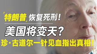 特朗普恢复死刑！美国形势将大变？珍·古道尔一针见血指出真相！