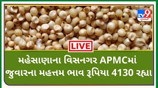 Mandi: મહેસાણાના વિસનગર APMCમાં જુવારના મહત્તમ ભાવ રૂપિયા 4130 રહ્યા, જાણો જુદા-જુદા પાકના ભાવ | Tv9