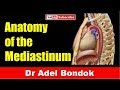 Mediastinum, Dr Adel Bondok