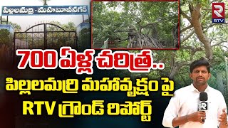 700 ఏళ్ల చరిత్ర..పిల్లలమర్రి మహావృక్షం | Pillalamarri Banyan Tree In Mahabubnaga | RTV Ground Report