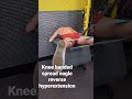 knee banded spread eagle reverse hyperextension workout. workout model babe gymbabe gym