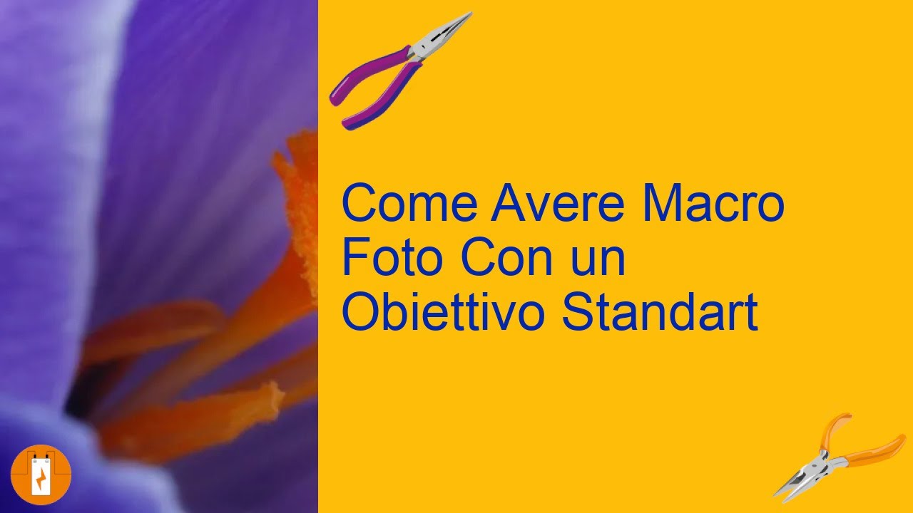 Come Avere Macro Foto Con Un Obiettivo Standart - YouTube